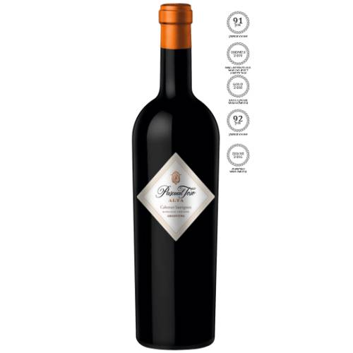 Pascual Toso Alta Malbec 2019 wino czerwone wytrawne