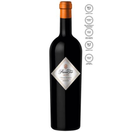 Pascual Toso Alta Malbec 2019 wino czerwone wytrawne
