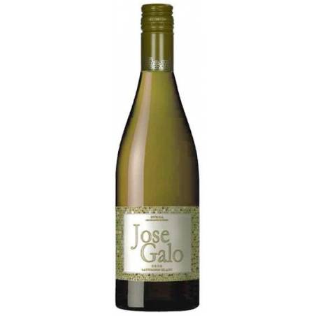 Bodegas Rueda Perez Jose Galo Sauvignon Blanc 2023 DO wino białe wytrawne