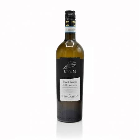 Biscardo UVAM Pinot Grigio delle Venezie DOC 2025 wino białe wytrawne