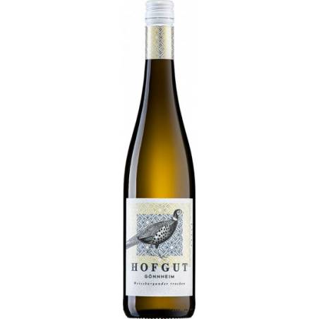 Hofgut Gönnheim Weissburgunder Pfalz 2025 wino białe wytrawne BIO